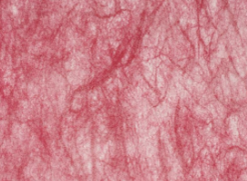 Non Woven Paper