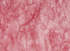 Non Woven Paper