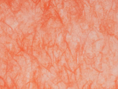 Non Woven Paper