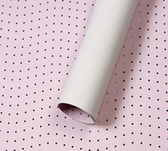 FW101/DOT
